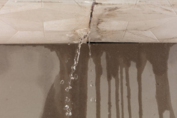 Professional Structural Drying technician working in New Carlisle, OH